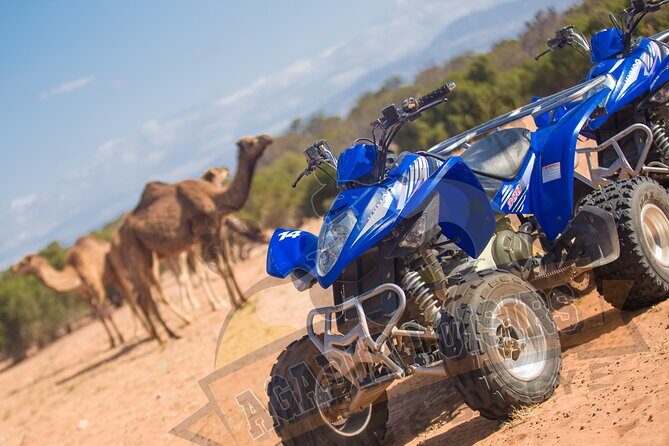 Half-day QUAD In Agadir + pick-up included from Agadir - Final Thoughts