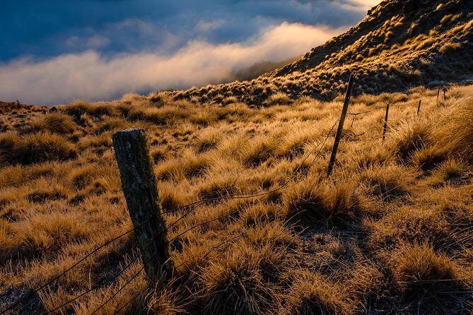 Half-Day Queenstown Photography Tour - What Could Be Improved?