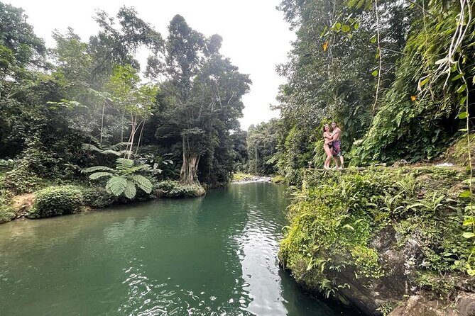 Half-Day Rainforest Tour with Transport from San Juan - Key Points