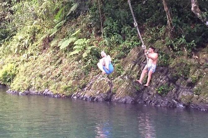 Half-Day Rainforest Tour with Transport from San Juan - A Closer Look at the Tour Experience