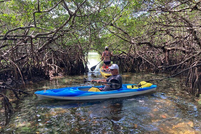 Half Day Rental to John's Pass Sandbar & Mangrove Tunnel - Discover Treasure Island’s Sandbar & Mangrove Tunnel with a Half-Day Rental