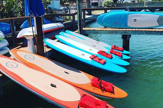 Half Day Rental to John's Pass Sandbar & Mangrove Tunnel - Navigating the Itinerary