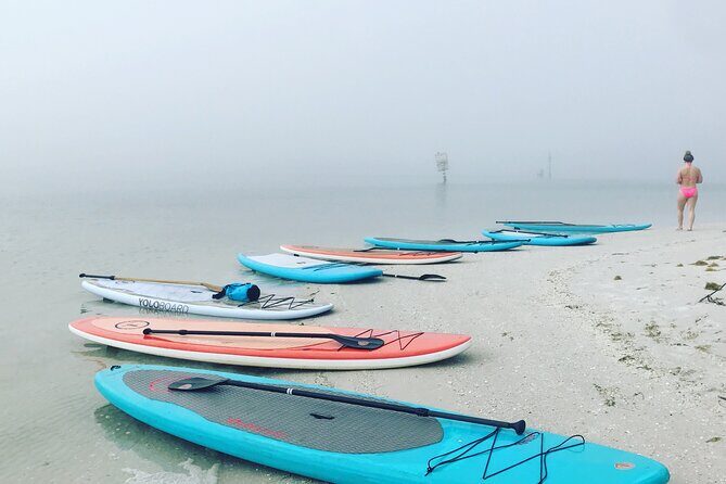 Half Day Rental to John's Pass Sandbar & Mangrove Tunnel - Who Will Love This Experience?