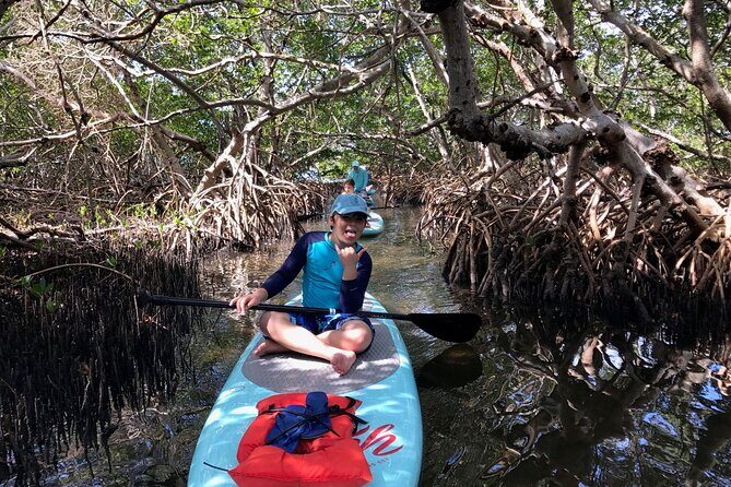 Half Day Rental to John's Pass Sandbar & Mangrove Tunnel - Final Thoughts: Is It Worth It?