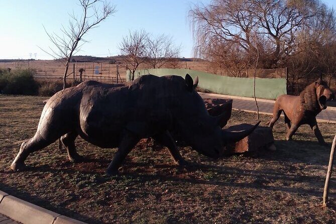 Half Day Rhino and Lion Park Closed Vehicle Game Drive - Is It Worth the Price?