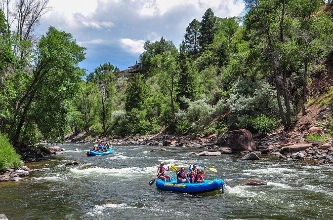 Half Day Roaring Fork Rafting - The Views and Wildlife: A Scenic Treat