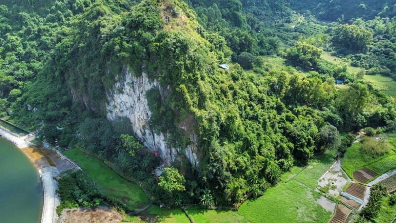 Half Day Rock Climbing on Cat Ba island - Overview of the Climbing Experience