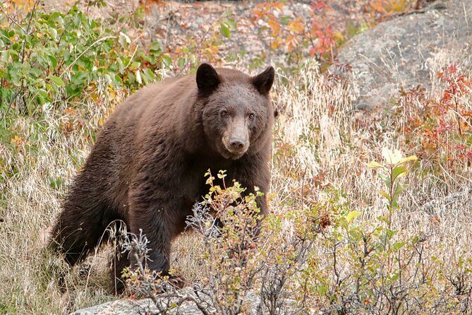 Half-Day Rocky Mountain National Park "Mountains to Sky Tour" - RMNPhotographer - Breaking Down the Itinerary