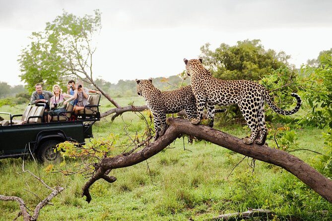Half Day Safari at Yala National Park From Yala / Tissamaharama - Introduction