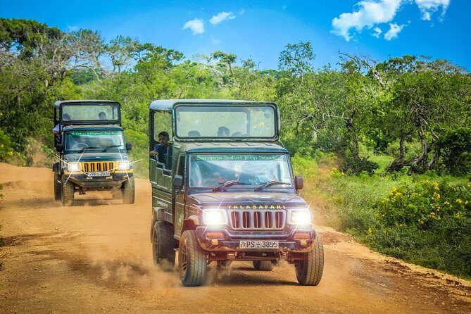 Half Day Safari at Yala National Park with Lunch - FAQs