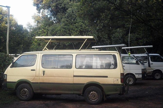 Half Day :safari Game Drive At Nairobi Park/elephant Sanctuary/giraffe Centre - The Elephant Orphanage