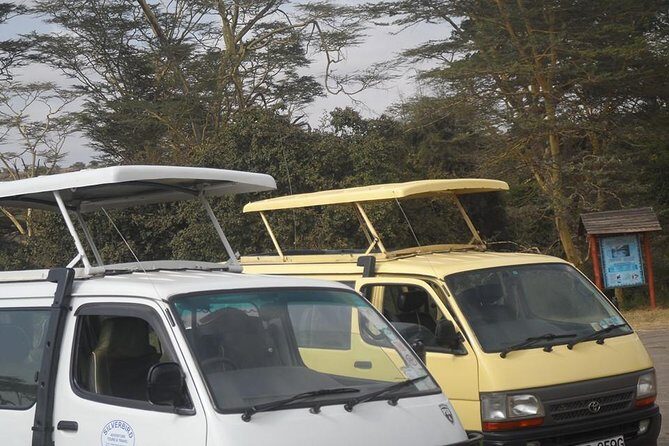 Half Day :safari Game Drive At Nairobi Park/elephant Sanctuary/giraffe Centre - Who Should Consider This Tour?