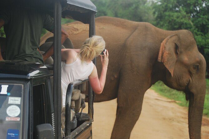 Half Day Safari Guided Tour - Authentic Experiences and Authentic Guides