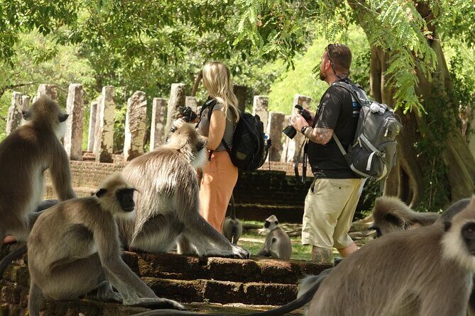 Half Day Safari Guided Tour - Why This Tour Offers Great Value