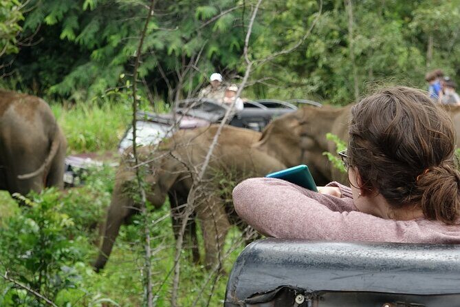 Half Day Safari Guided Tour - Who Will Love This Safari?