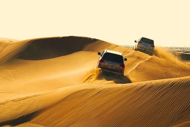 Half Day Safari Tour With Camel Ride and Sand Boarding in Doha - Introduction