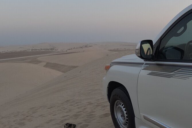 Half Day Safari Tour With Camel Ride and Sand Boarding in Doha - Who Should Consider This Tour?