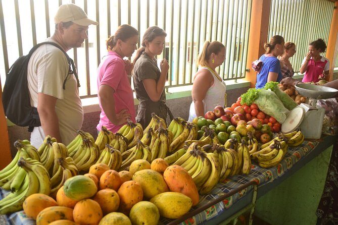Half-Day Sal Island Tour with Shark Experience from Santa Maria - The Sum Up