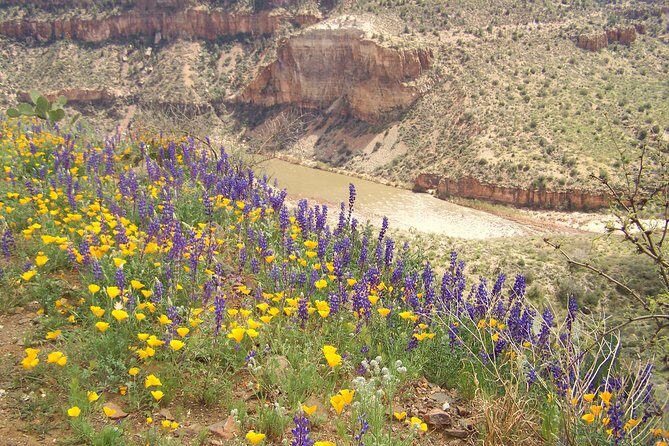 Half-Day Salt River Raft Trip - Who Should Consider This Tour?