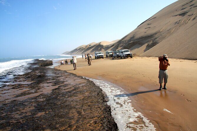 Half-Day Sandwich Harbour Tour from Walvis Bay with Lunch - What Travelers Say: Authentic Experiences and Value