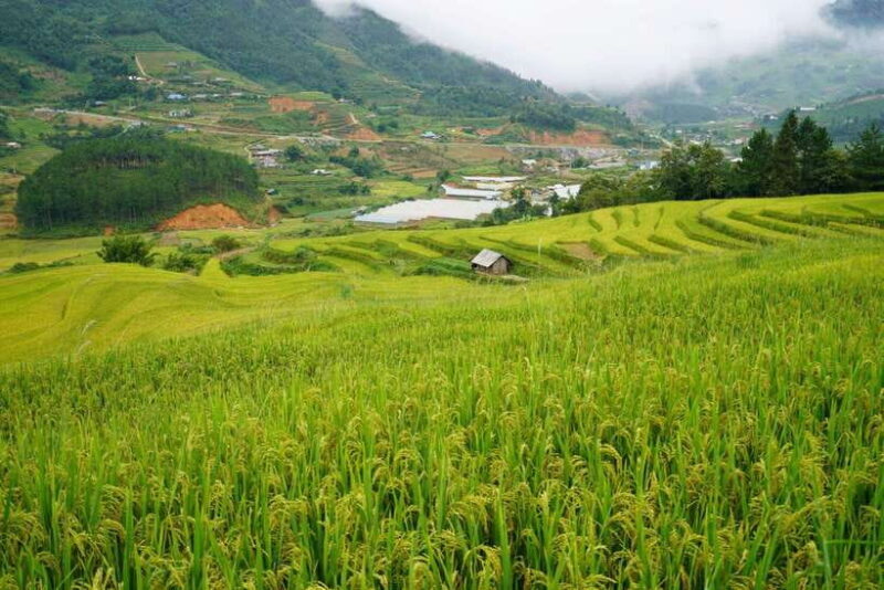 Half Day Sapa Trekking to Visit Lao Chai - Ta Van - Who Should Consider This Tour?