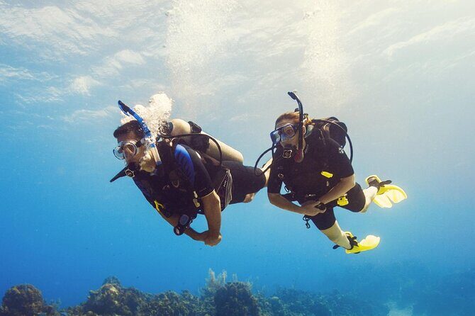 Half Day Scuba Diving Course enjoy Pool and Beach Dive Adventure - Key Points
