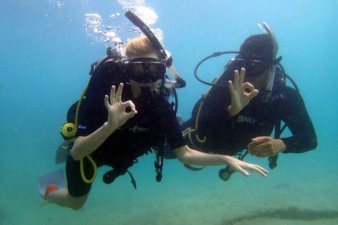 Half Day Scuba Diving Course enjoy Pool and Beach Dive Adventure - What to Expect During Your Half-Day Scuba Experience