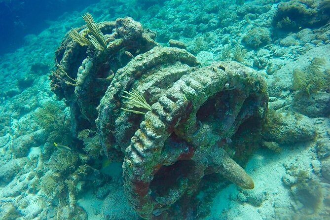 Half Day Scuba Diving Trip in the Florida Keys - Highlights of the Reef Stops