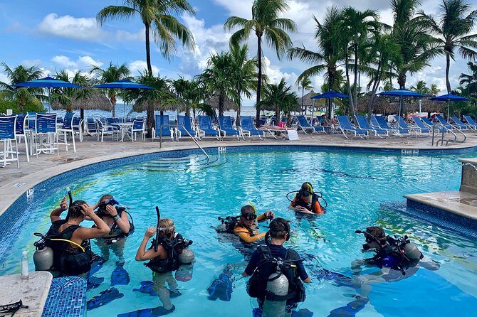 Half Day Scuba Diving Trip in the Florida Keys - FAQs