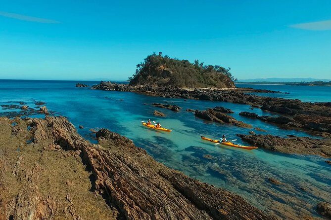 Half Day Sea Kayak Tour from Batemans Bay with Morning Tea - Key Points