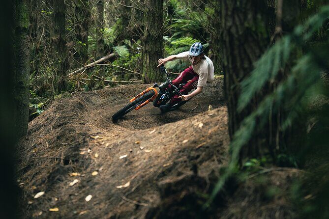 Half-Day Self-Guided Mountain Bike Journey through Whakarewarewa Redwood Forest - What to Expect on Your Ride
