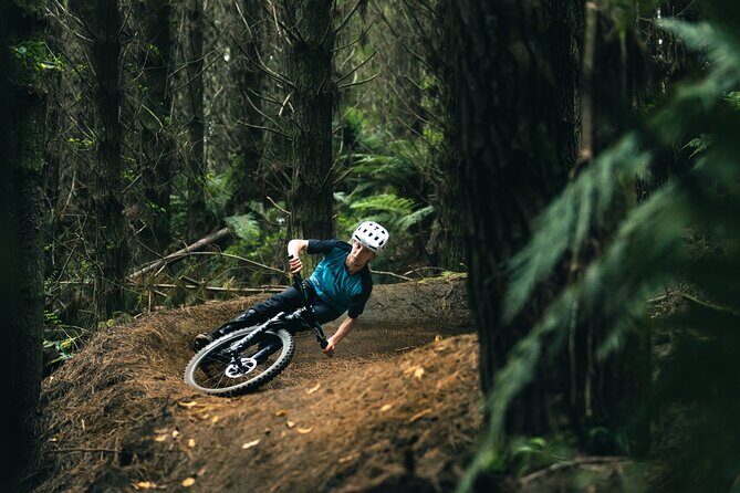 Half-Day Self-Guided Mountain Bike Journey through Whakarewarewa Redwood Forest - The Real Value of This Bike Tour