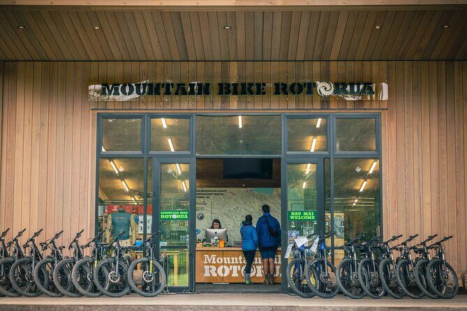 Half-Day Self-Guided Mountain Bike Journey through Whakarewarewa Redwood Forest - Who Will Love This Experience?