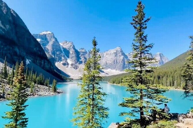 Half Day Shared Adventure to Lake Louise and Moraine Lake - The Itinerary in Detail: Why Each Stop Matters