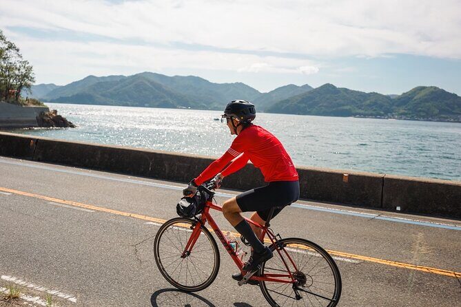 Half-Day Shimanami Kaido Private E-Bike Cycling Tour - 3 Routes - An In-Depth Look at the Tour