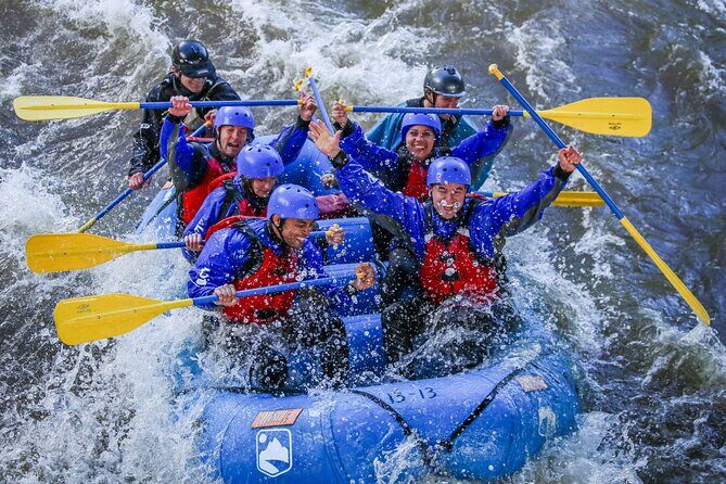 Half Day Shoshone Rafting in Glenwood Springs - Key Points
