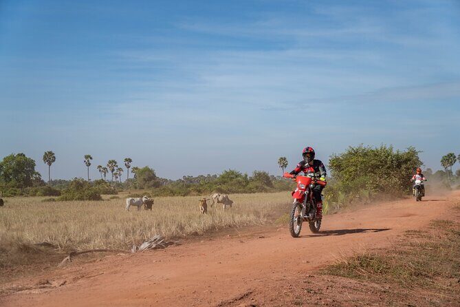 Half Day Siem Reap Off-Road Ride Tour - FAQ