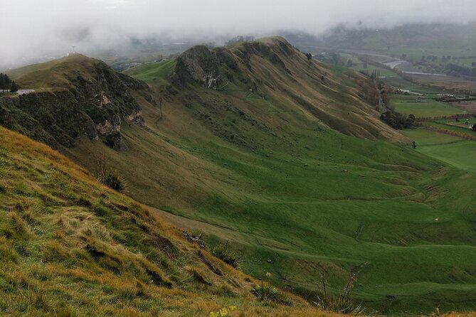 Half Day Sightseeing and Taste Tour - The Sum Up: Why Choose This Tour?