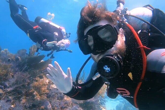 Half-Day Small-Group 2-Tank Scuba Dive in Key Largo (CERTIFIED DIVERS ONLY) - Who Should Consider This Tour?