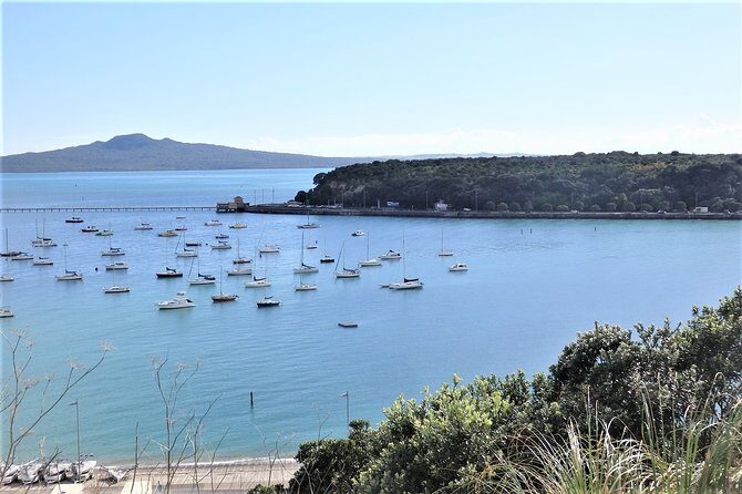 Half-Day: Small Group Auckland Scenic Tour - 4 HOURS - Overview of the Auckland Half-Day Tour