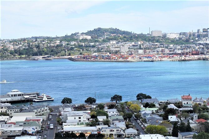 Half-Day: Small Group Auckland Scenic Tour - 4 HOURS - Why This Tour Works Well for Travelers