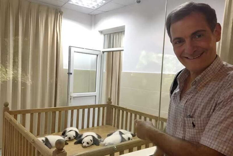 Half day small group tour to Chengdu Panda Breeding Center - Frequently Asked Questions