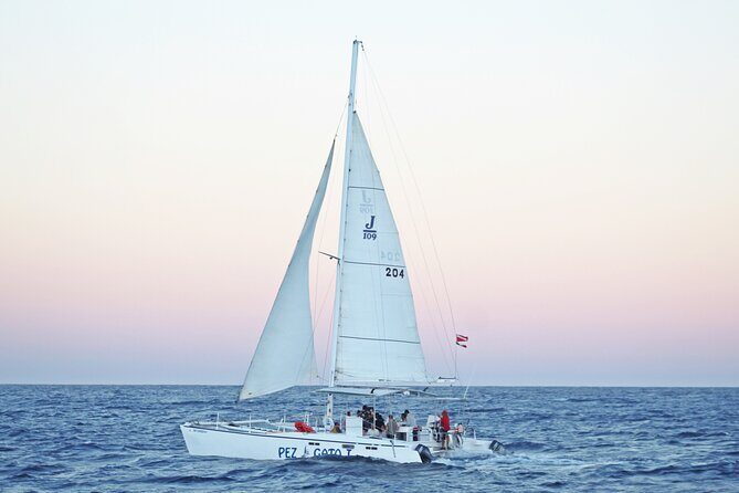 Half-Day Snorkel Experience and Party Catamaran in Los Cabos! + Round Trip - FAQ