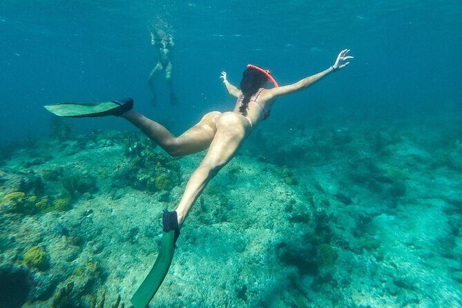 Half Day Snorkel from Providenciales with Visit to Half Moon Bay - A Deep Dive into the Experience