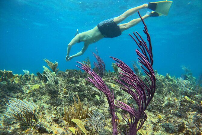 Half Day Snorkel from Providenciales with Visit to Half Moon Bay - FAQs