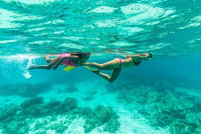 Half-Day Snorkel Sail Tour with Caribbean Lunch - The Itinerary in Detail