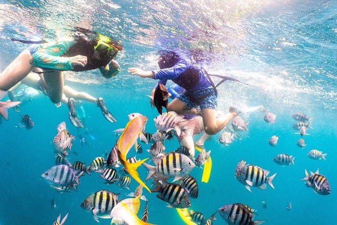 Half-Day Snorkel Sail Tour with Caribbean Lunch - Real Guest Experiences