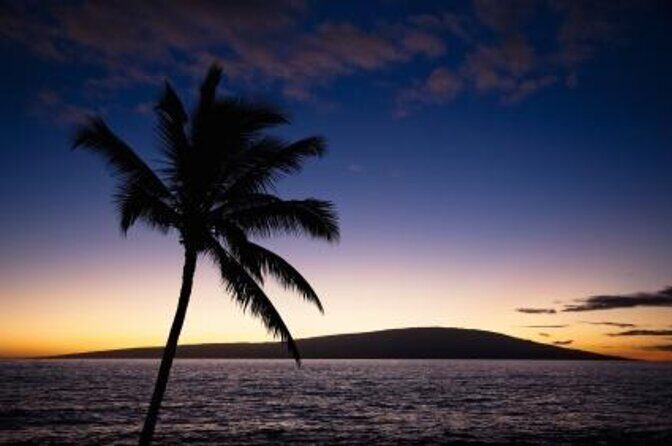 Half Day Snorkel to Lanai from Kaanapali Beach + Dolphin Search - Key Points