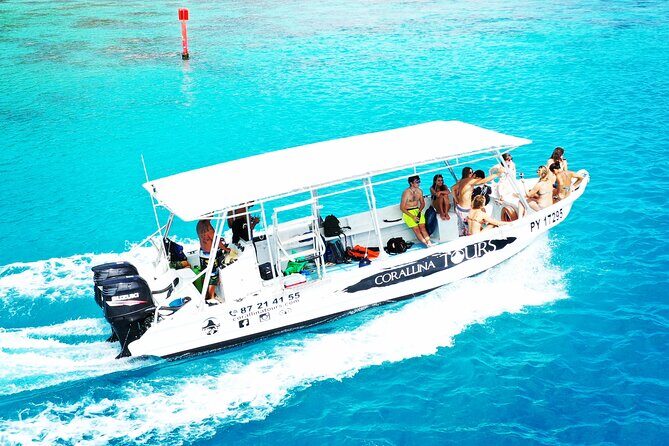 Half Day Snorkeling in Moorea - Exploring the Half Day Snorkeling in Moorea: A Practical Guide