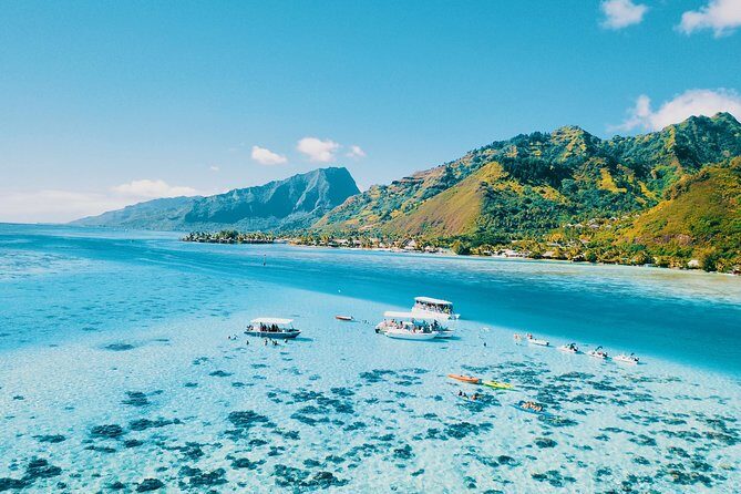 Half Day Snorkeling in Moorea - Why This Tour Is a Great Deal